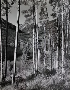 Image description is not available for 2007.020